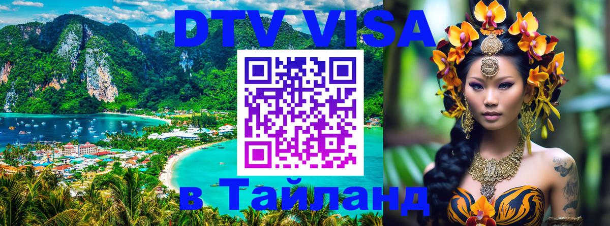 Оформление DTV визы под ключ: стоимость и тарифы, только загранпаспорт - Щёлково  21.11.2025 